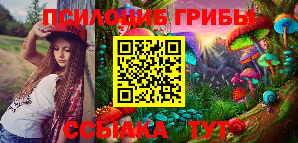Псилоцибиновые грибы ЛСД  Псилоцибиновые грибы Psilocybe  Тосно  Вход с VPN 